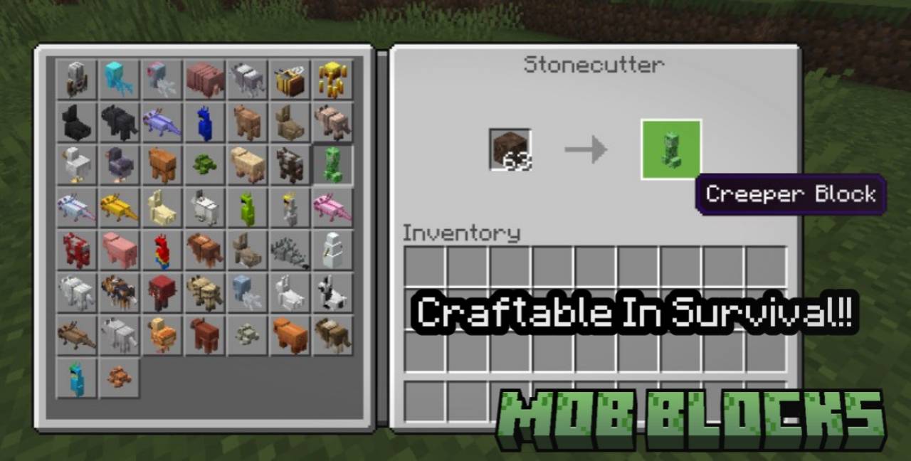 Thumbnail 20250725_120346.jpg