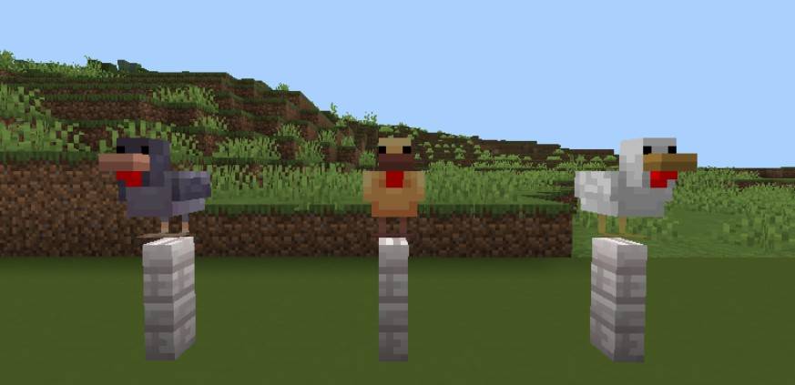 Thumbnail Screenshot_20250725_113149.jpg