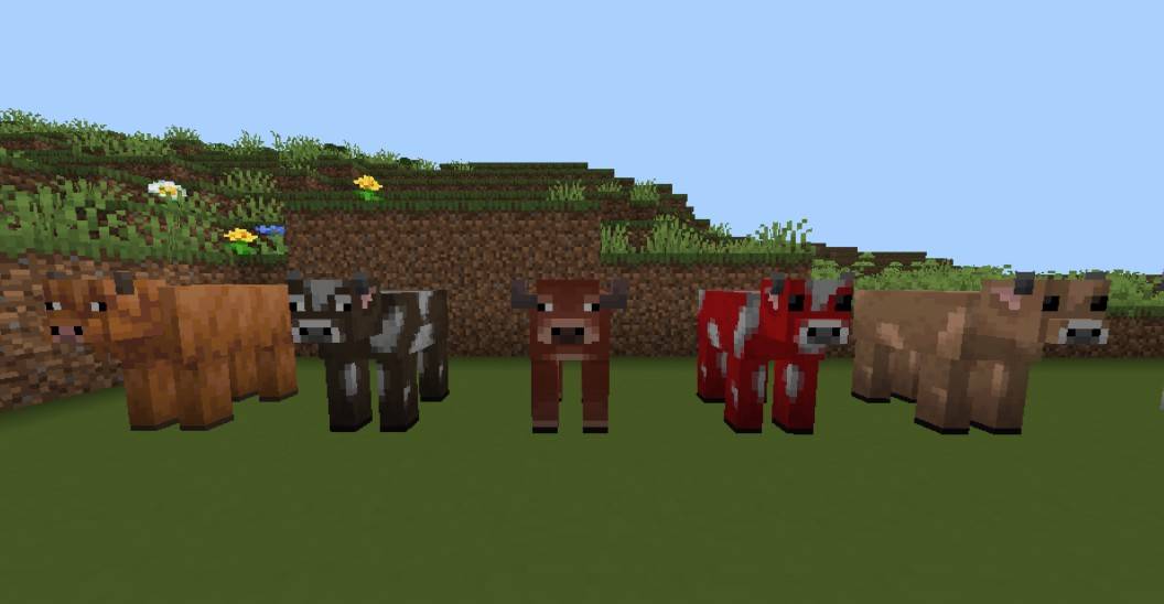 Thumbnail Screenshot_20250725_113316.jpg