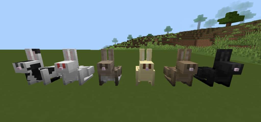 Thumbnail Screenshot_20250725_113458.jpg