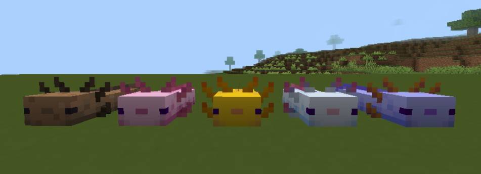 Thumbnail Screenshot_20250725_113546.jpg