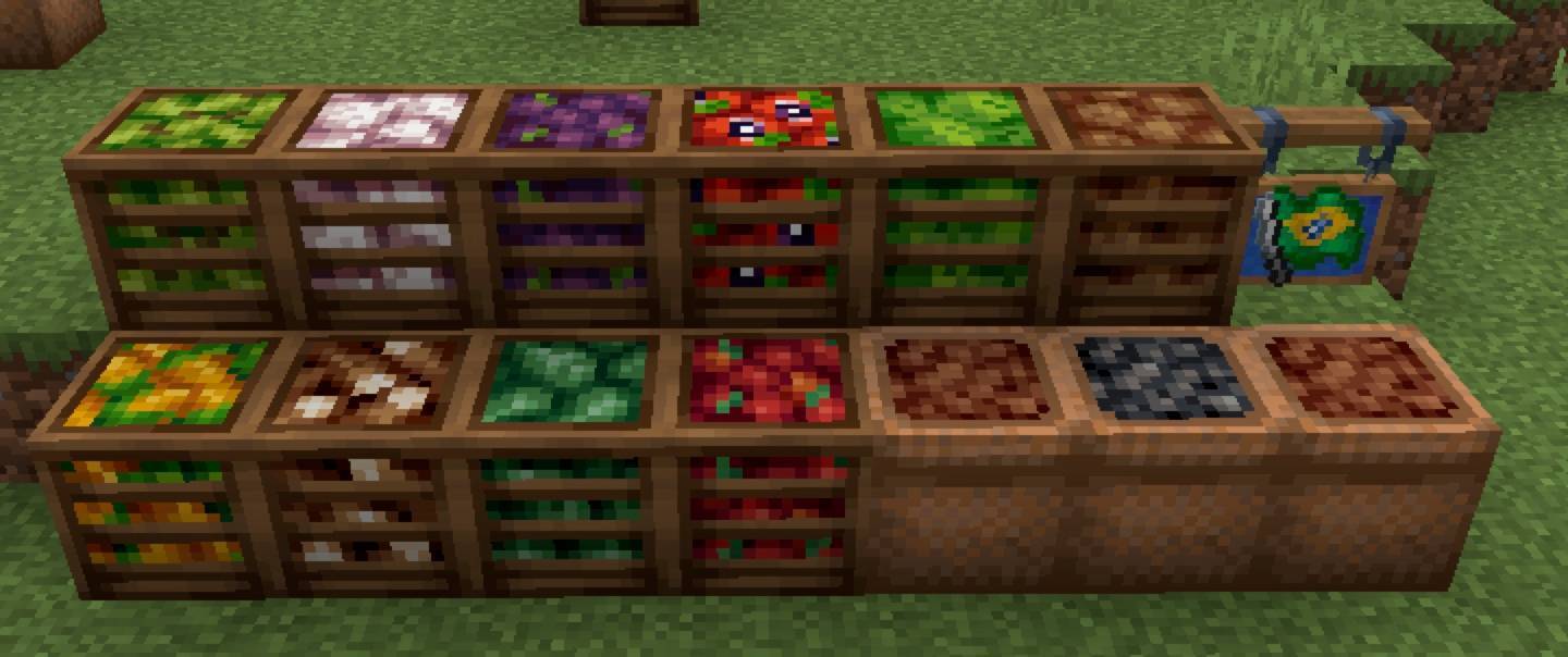 Thumbnail Fruits and Vegetables from Brazil.jpg