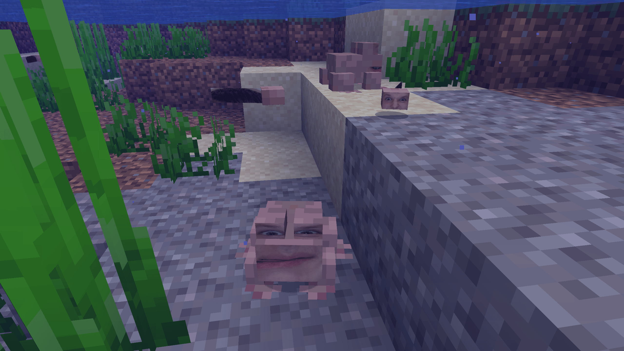 screenshot thumbnail