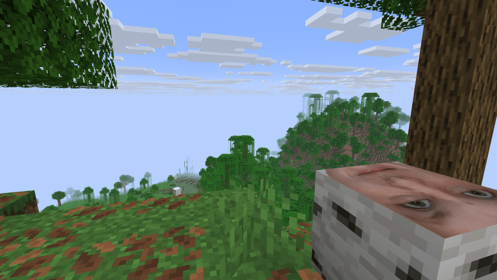 screenshot thumbnail