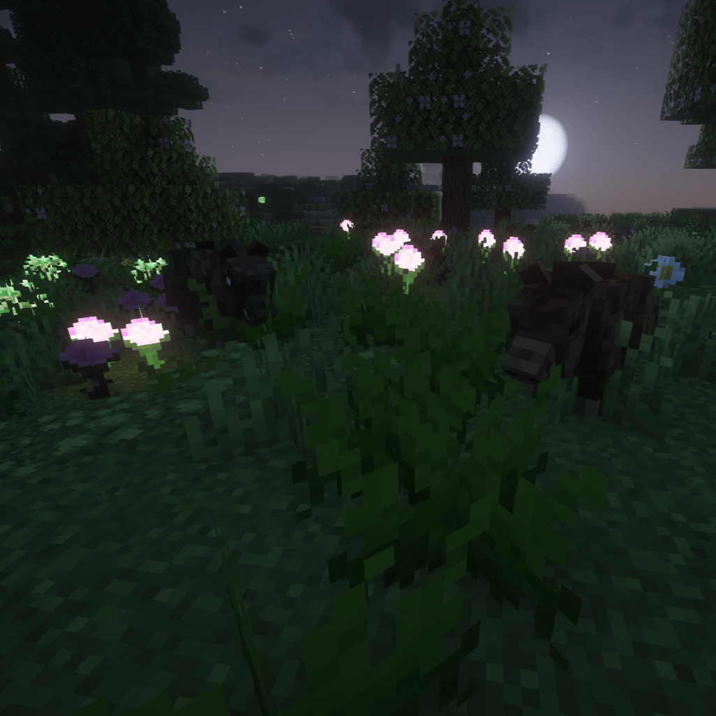 Thumbnail 2025-08-16_22.31.53.png