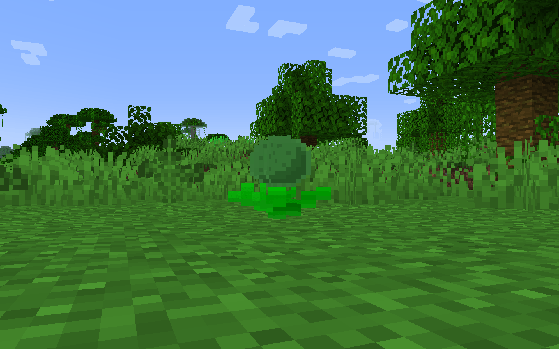 Thumbnail the wild cantaloupe... a rare fruit
