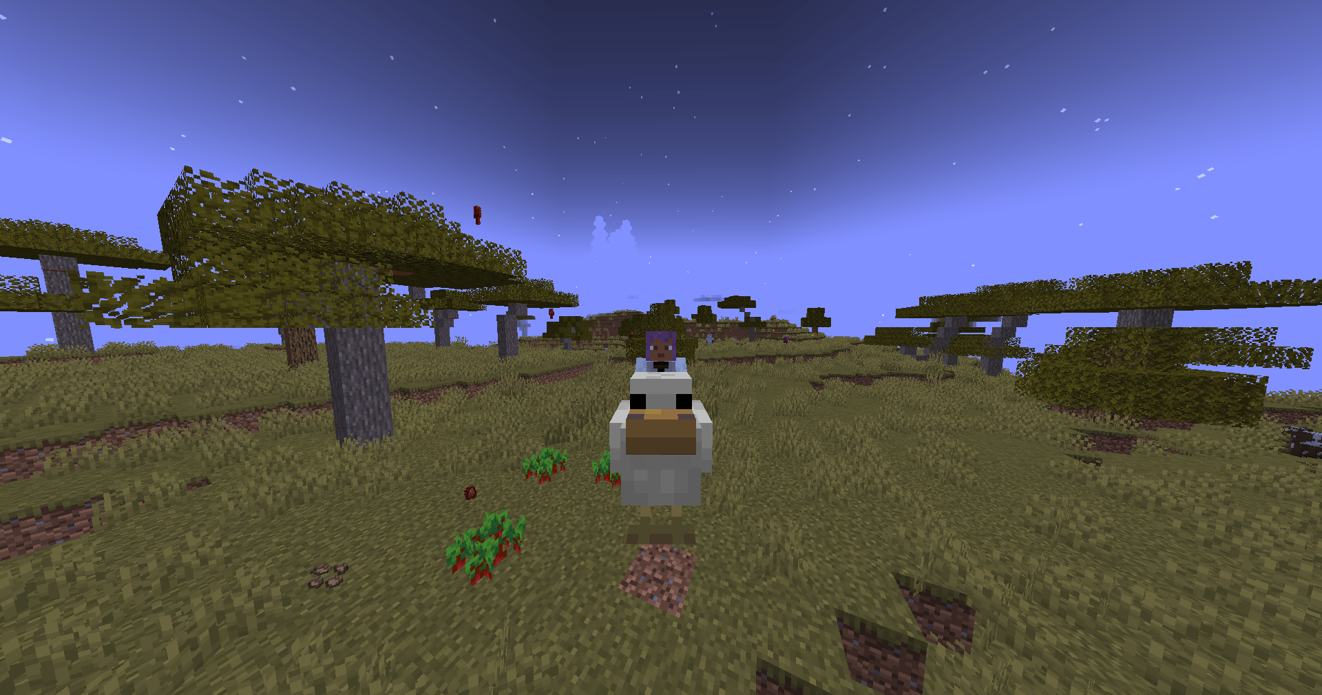 Thumbnail Chocobo1.png