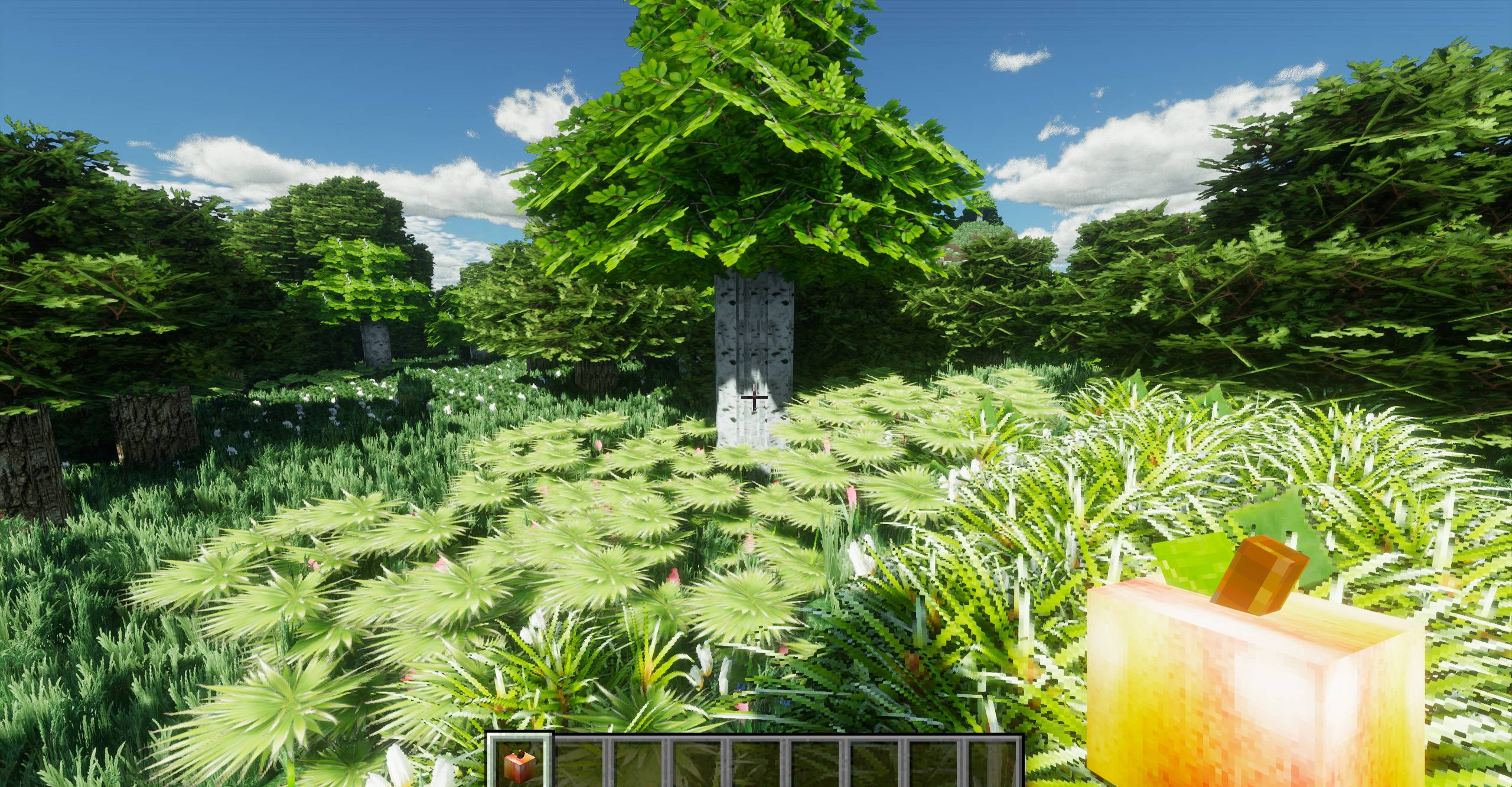 MINECRAFT REALISTIC.jpg