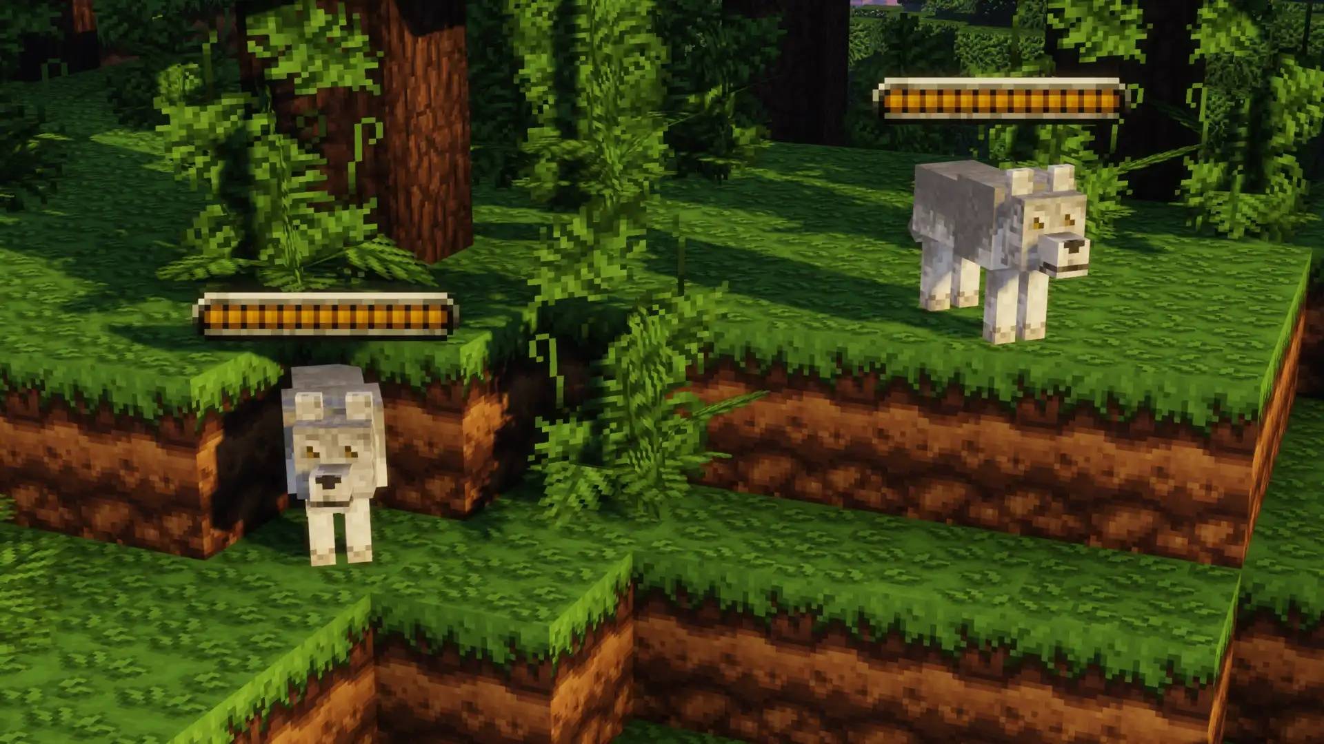 A pair of wolves in a forest