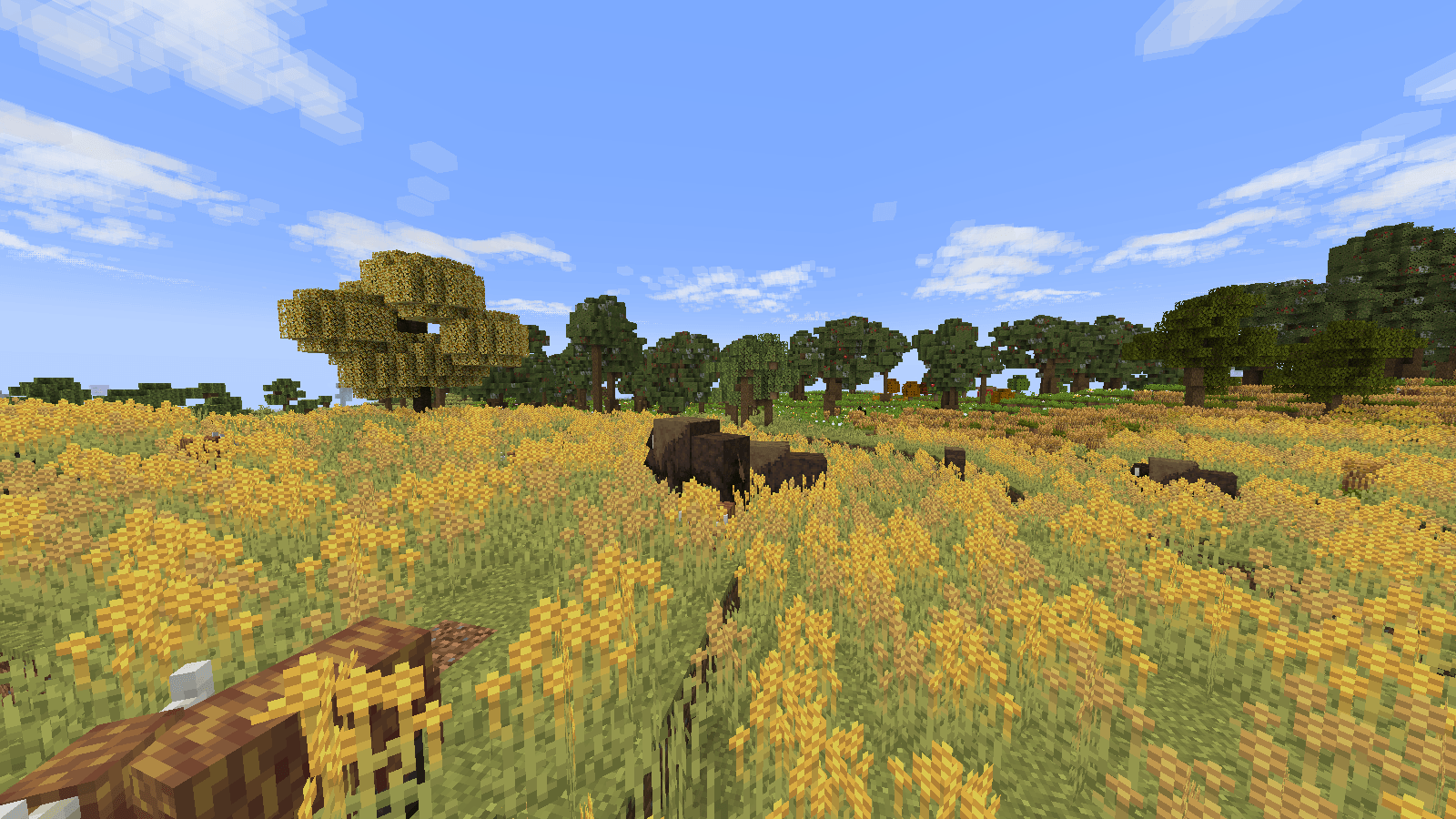 Thumbnail Wildlife in the pasture