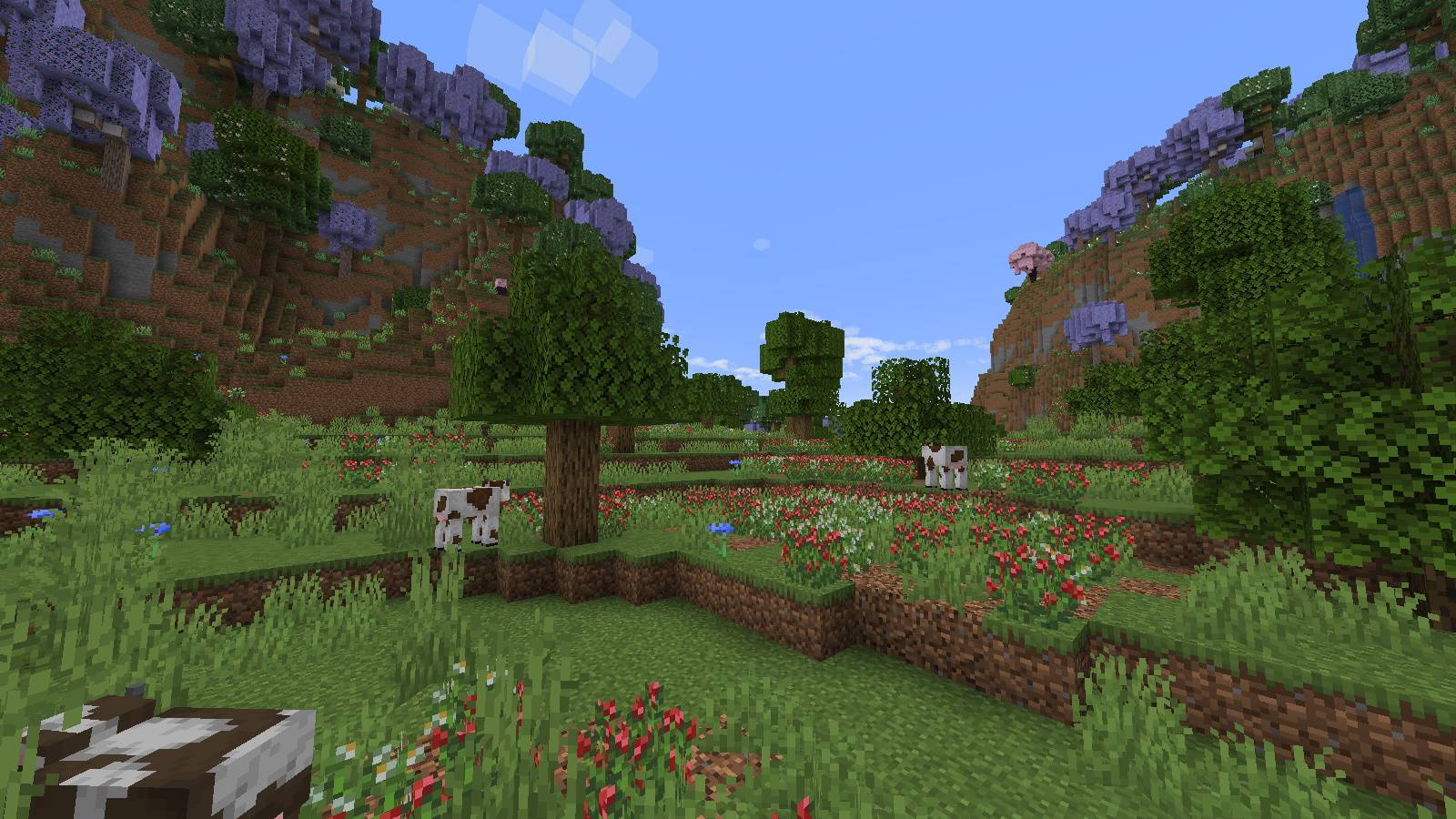 Thumbnail Paradise, according to one individual