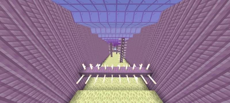 Flying with Elytra.jpg