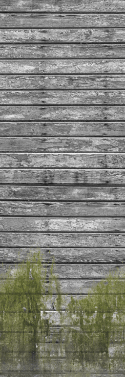 Thumbnail Gray_OldPPW_Sidingw_moss_Short.png