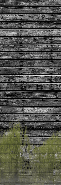 Thumbnail Black_OldPPW_Sidingw_moss_Short.png