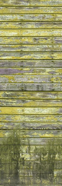 Thumbnail Yellow_OldPPW_Sidingw_moss_Short.png