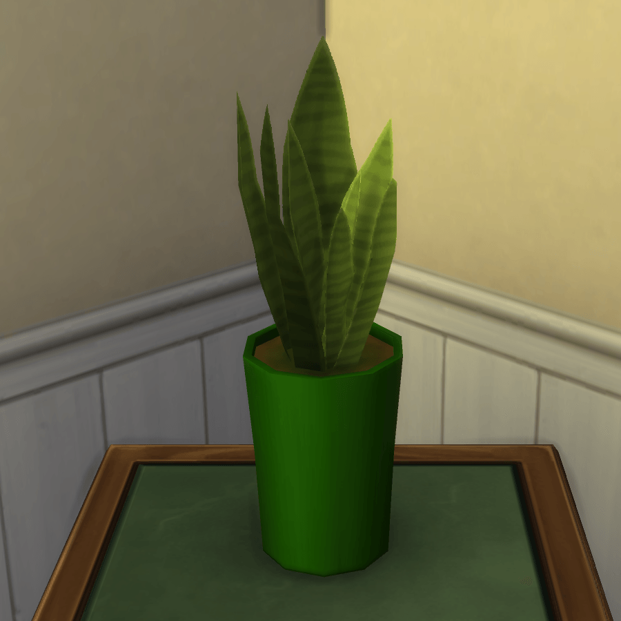 Thumbnail aa snake plant 1.png