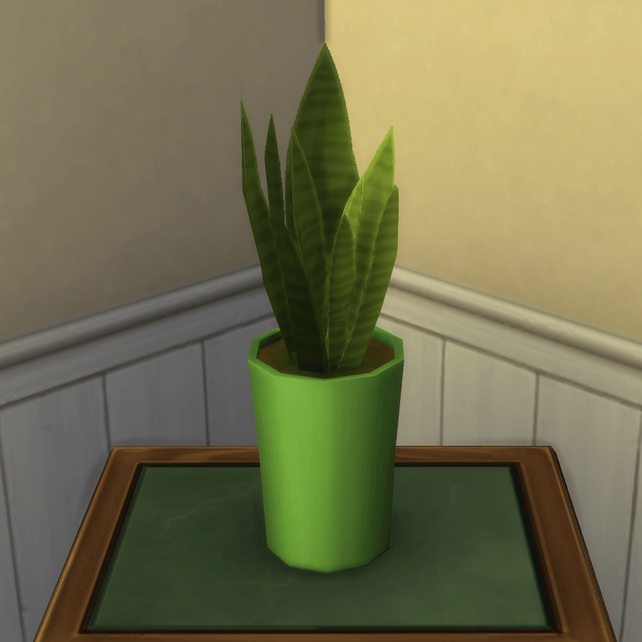 Thumbnail aa snake plant 2.png