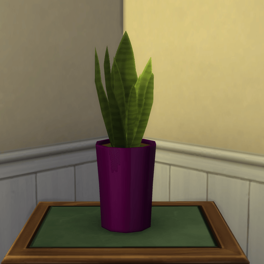 Thumbnail aa snake plant 3.png