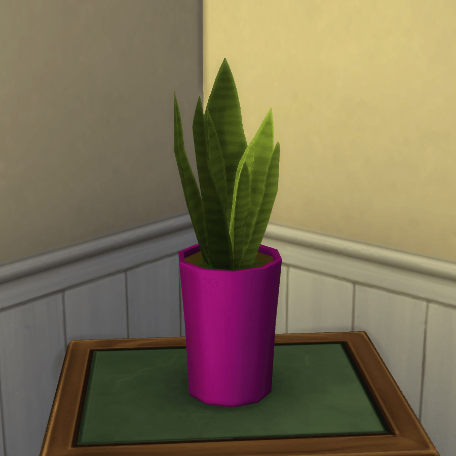 Thumbnail aa snake plant 4.png