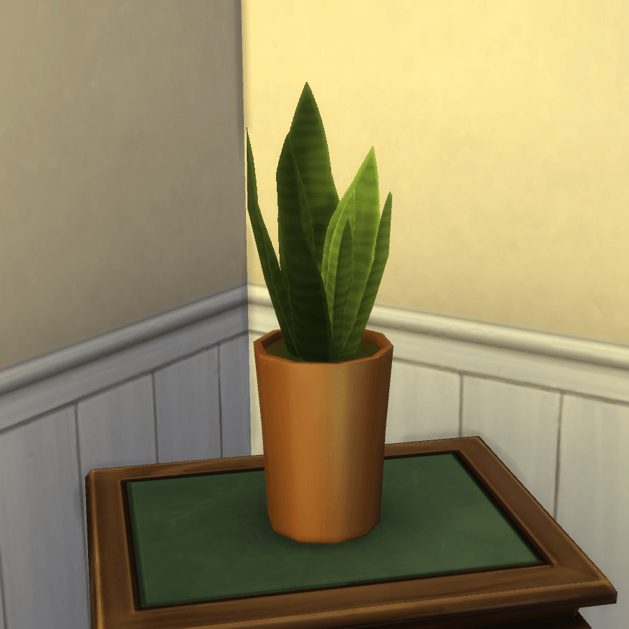 Thumbnail aa snake plant 6.png