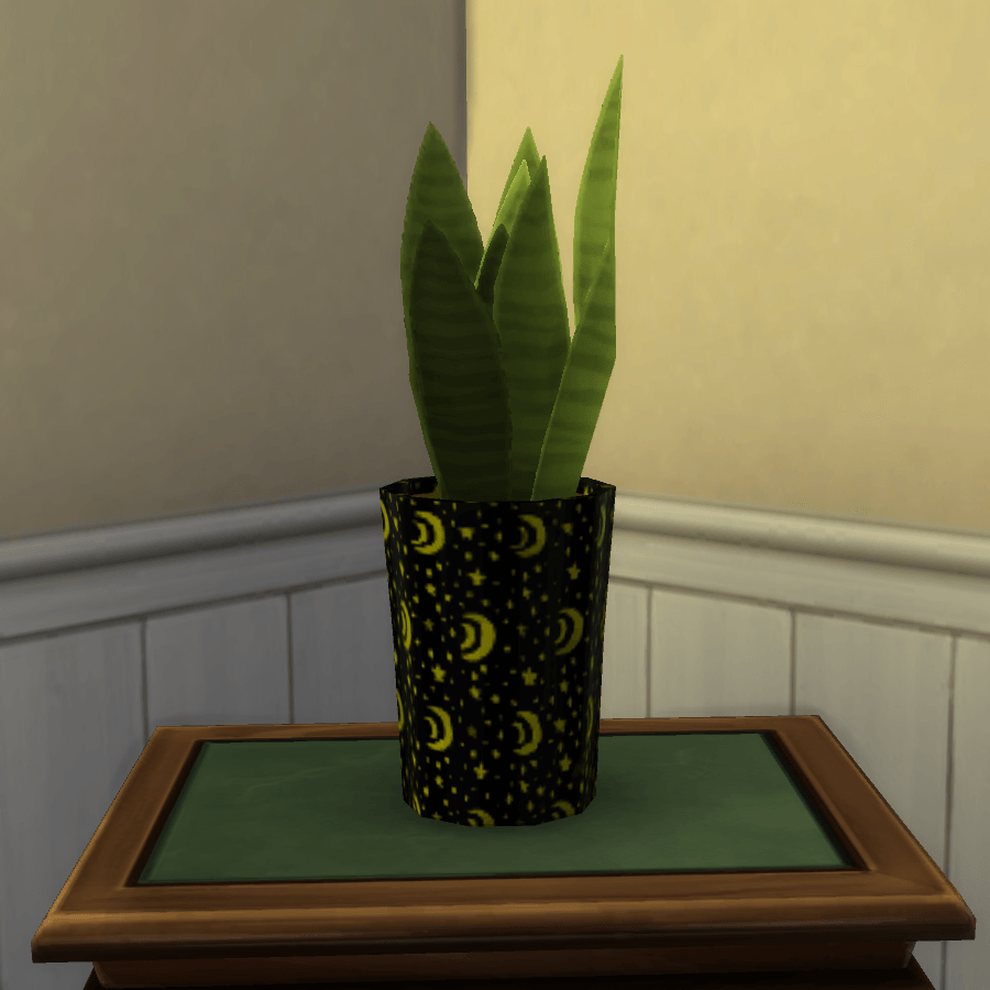 Thumbnail aa snake plant 8.png