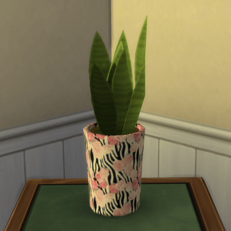 Thumbnail aa snake plant 9.png