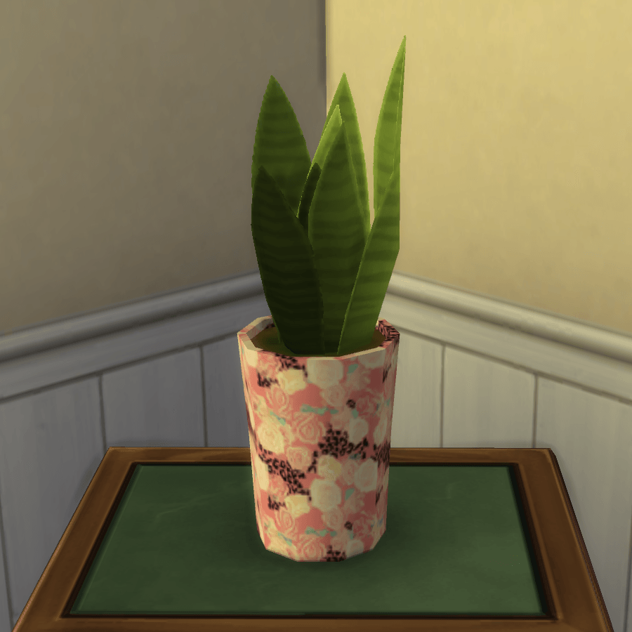 Thumbnail aa snake plant 12.png