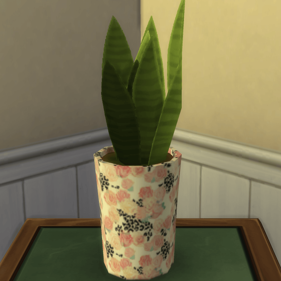Thumbnail aa snake plant 14.png