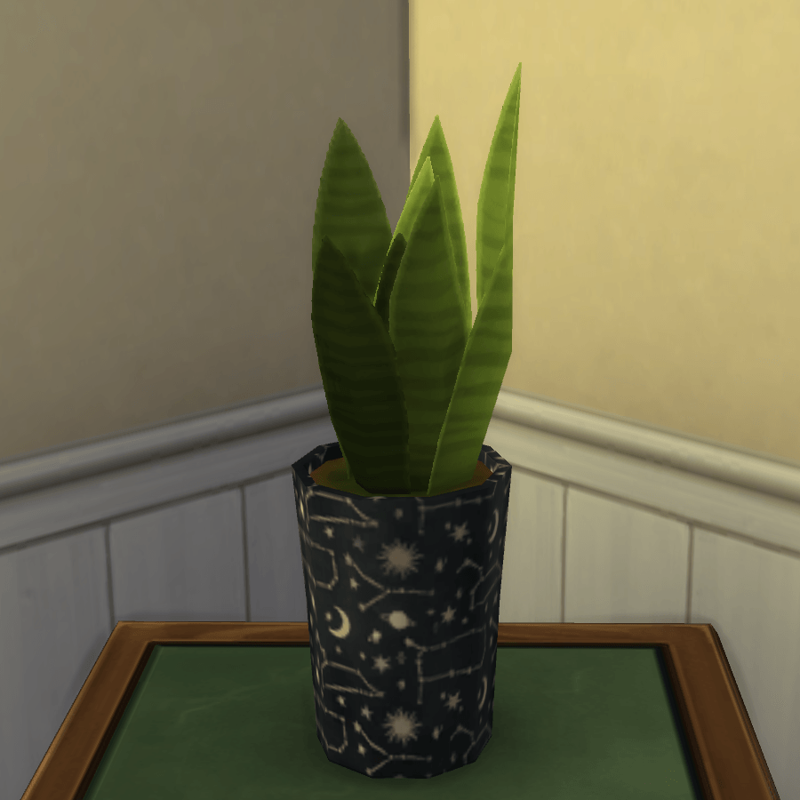 Thumbnail aa snake plant 15.png