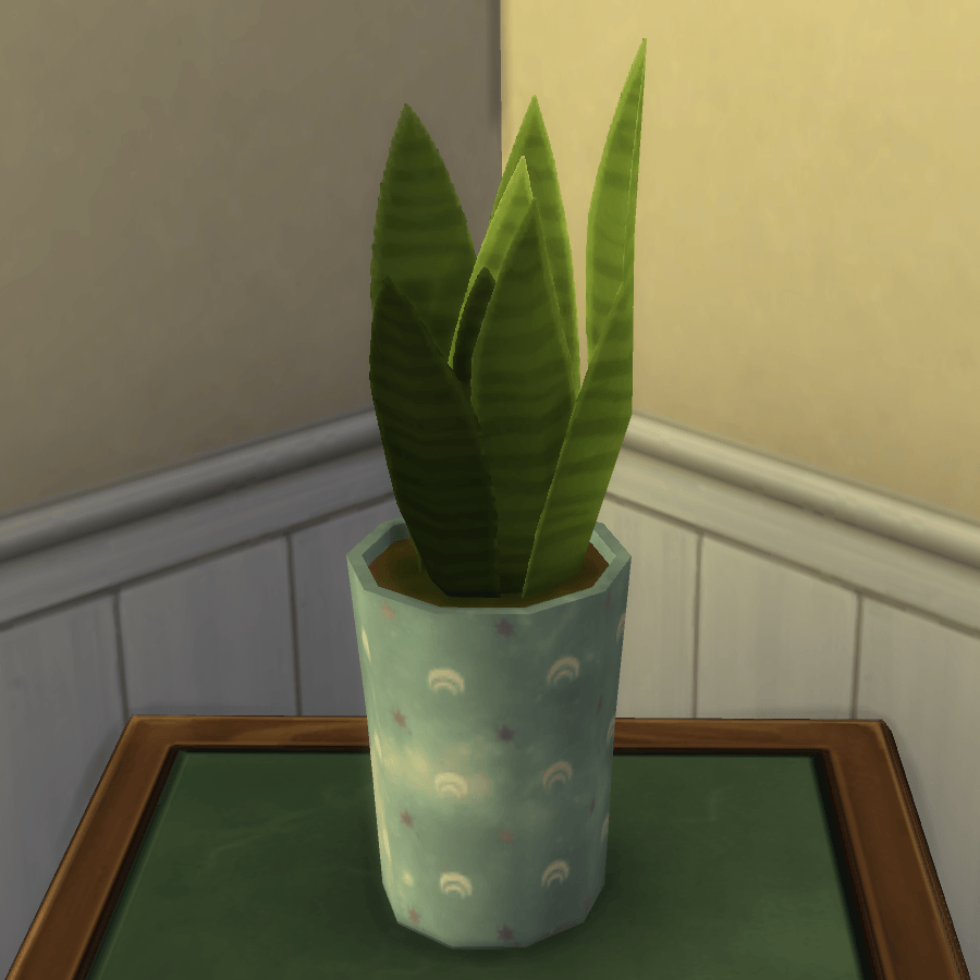 Thumbnail aa snake plant 16.png