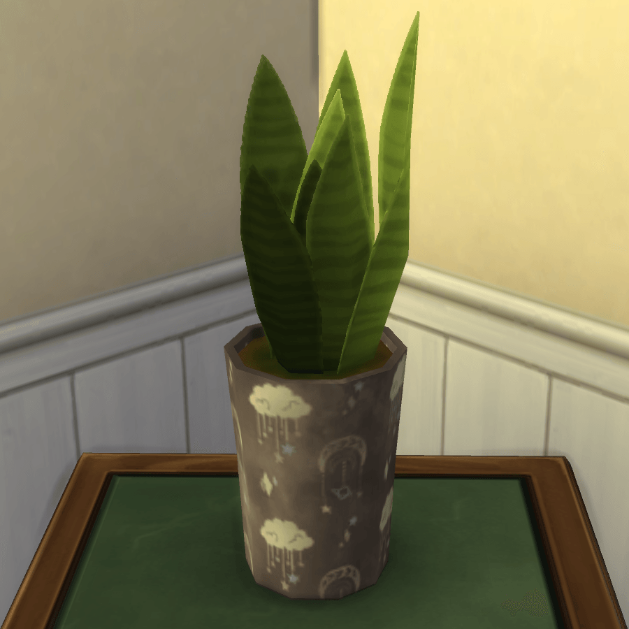 Thumbnail aa snake plant 17.png