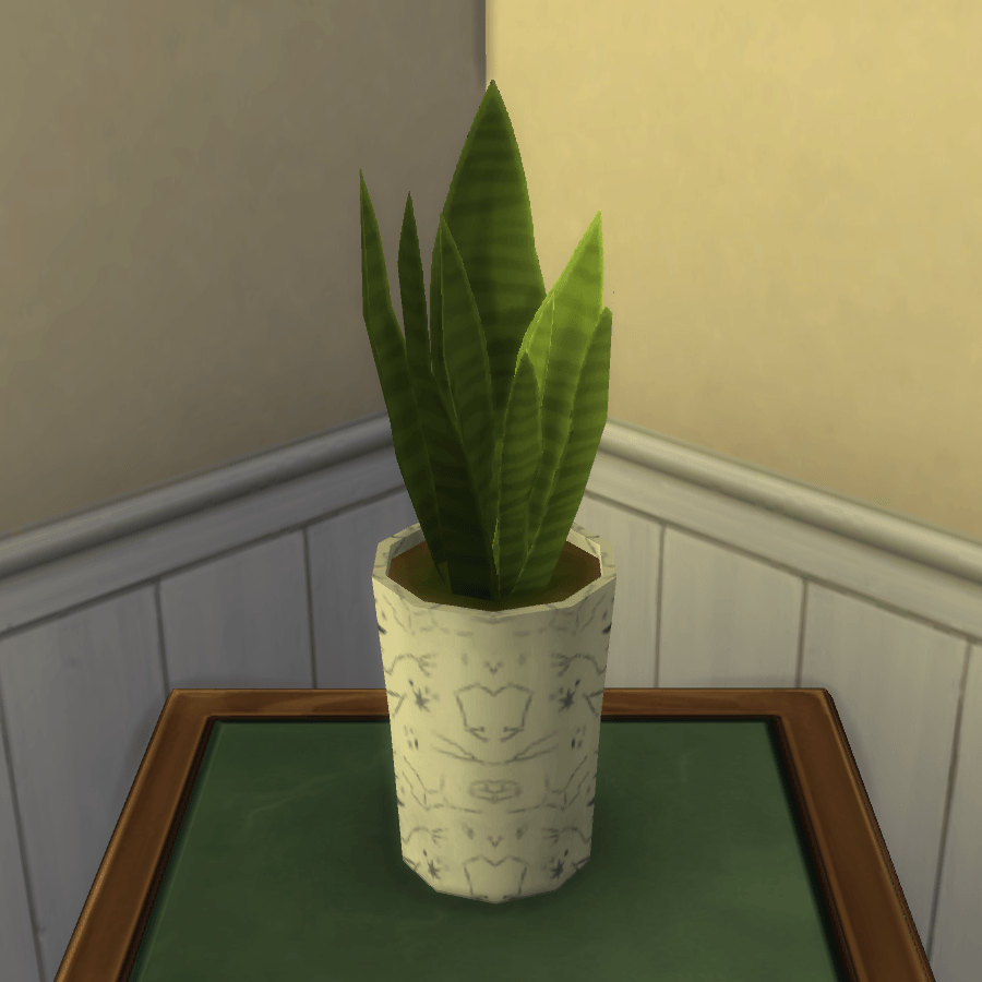 Thumbnail aa snake plant 18.png