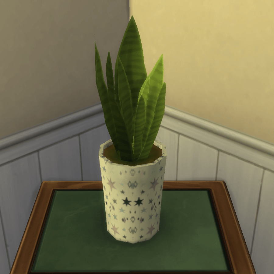 Thumbnail aa snake plant 19.png