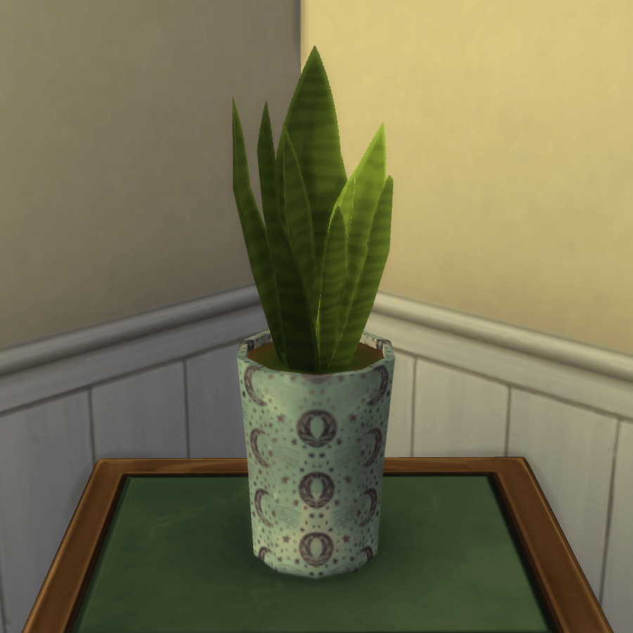 Thumbnail aa snake plant 20.png