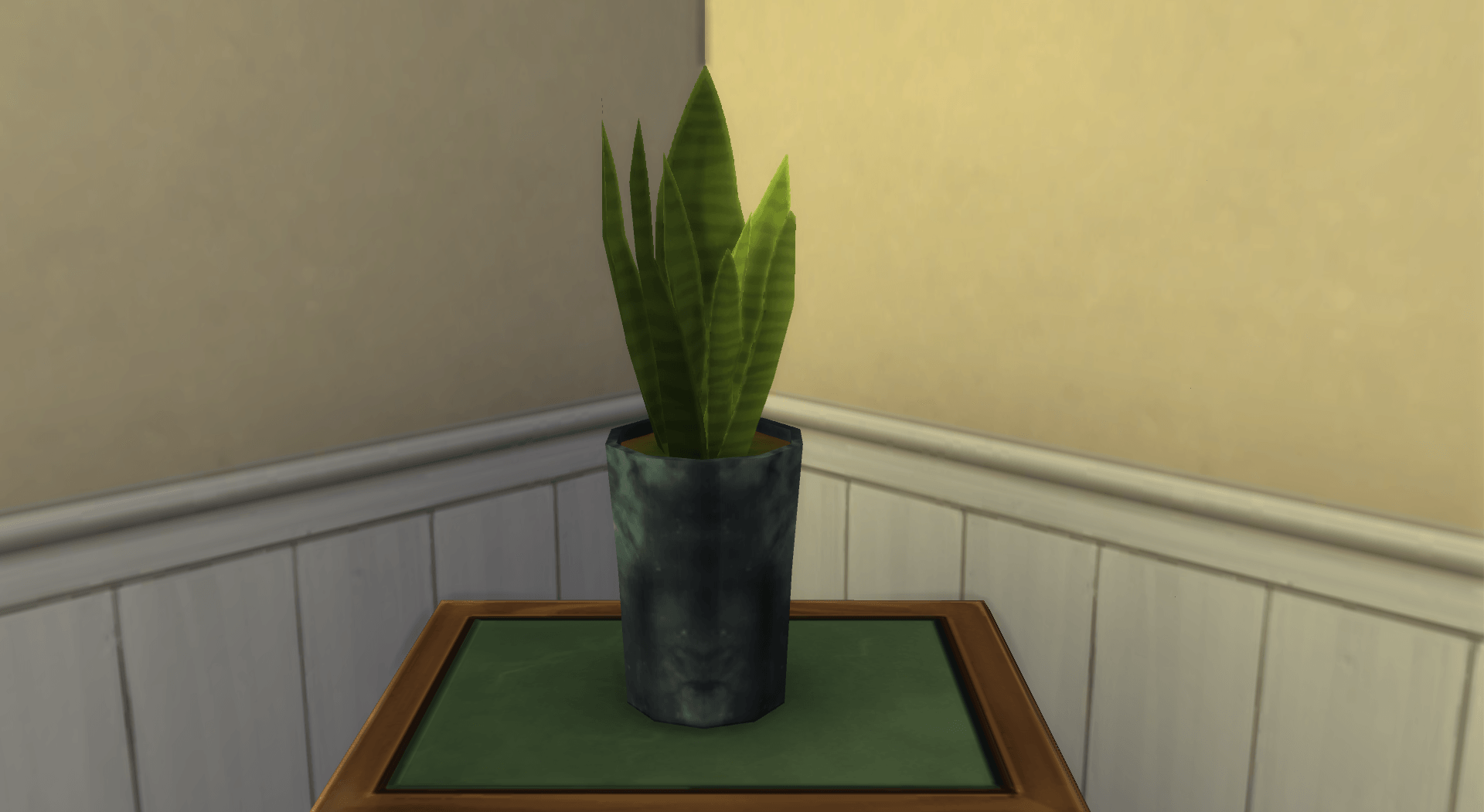 Thumbnail aa snake plant 21.png