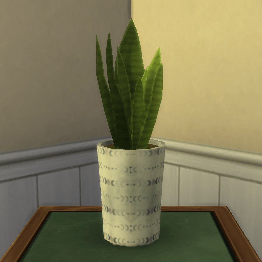 Thumbnail aa snake plant 22.png