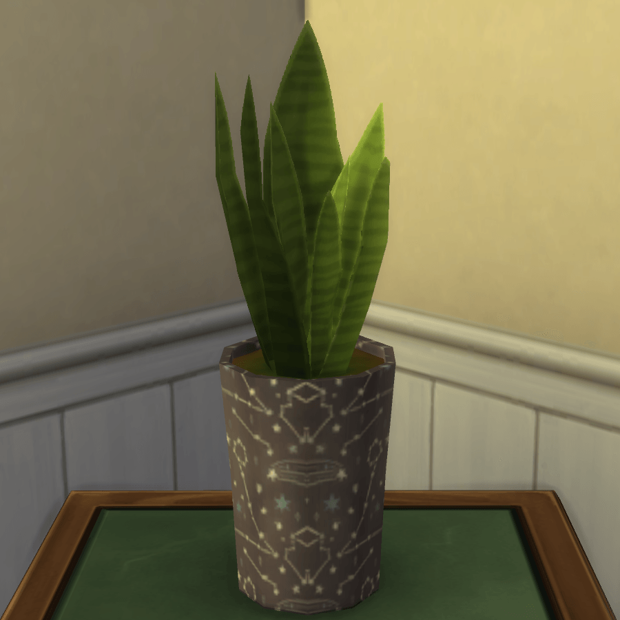 Thumbnail aa snake plant 23.png
