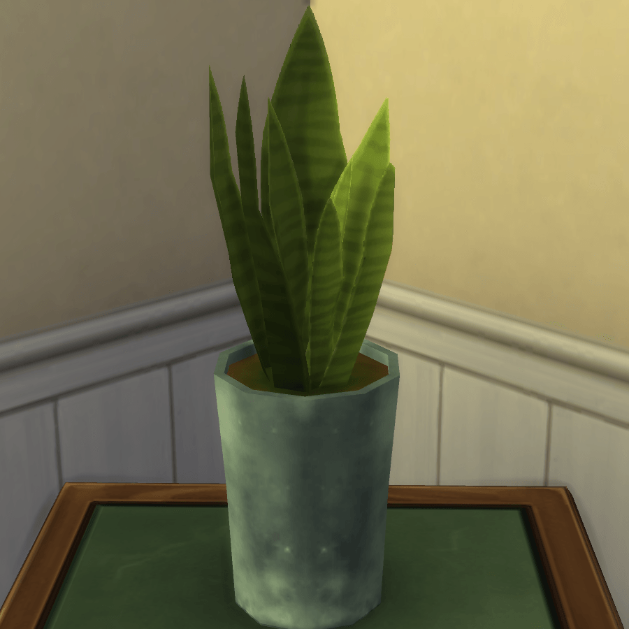 Thumbnail aa snake plant 24.png