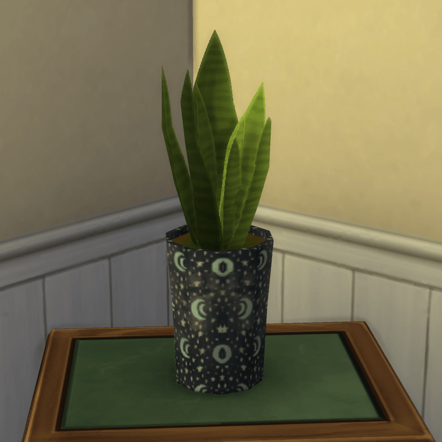 Thumbnail aa snake plant 26.png