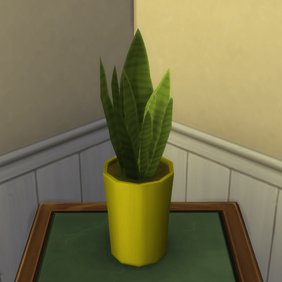 Thumbnail aa snake plant 28.png