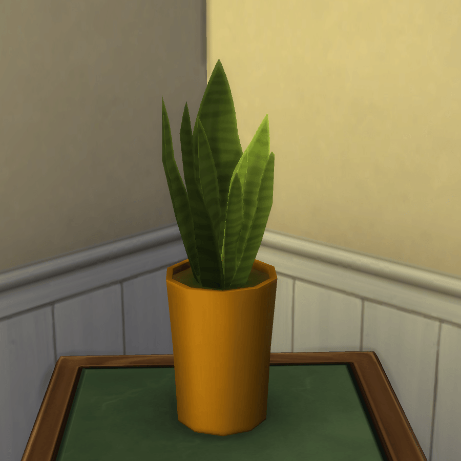 Thumbnail aa snake plant 29.png