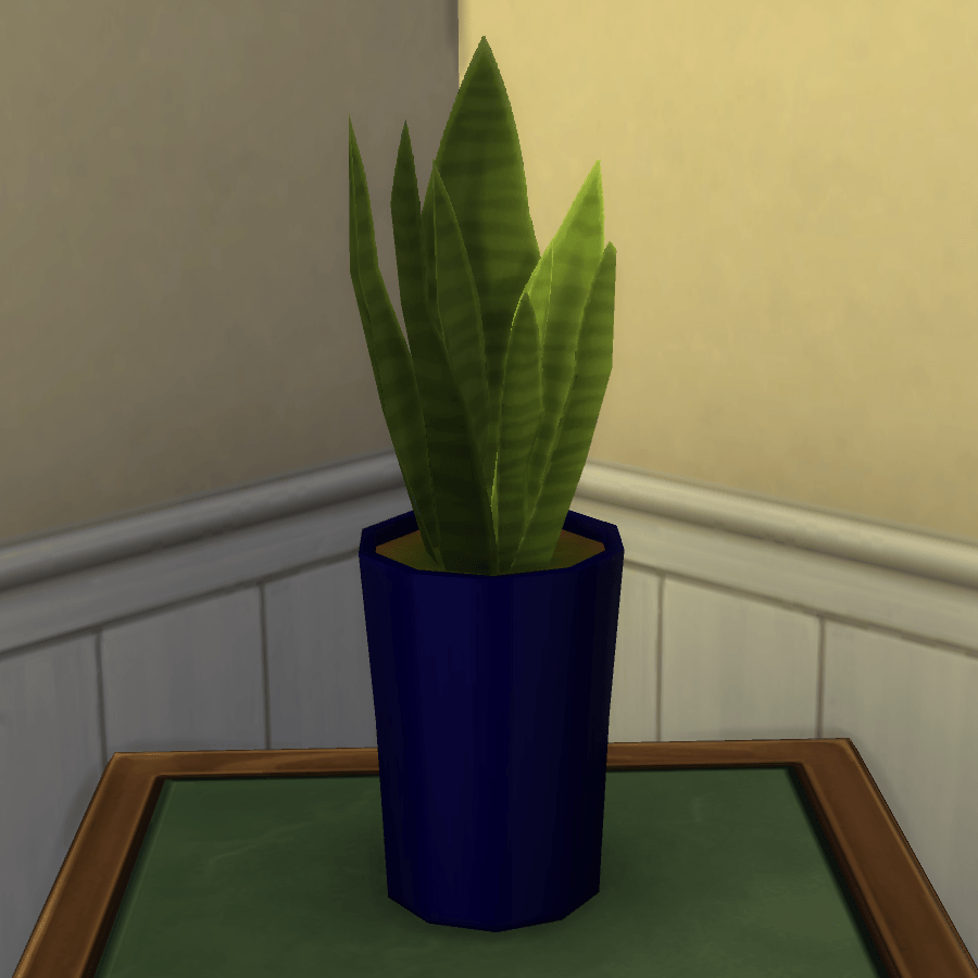 Thumbnail aa snake plant 30.png
