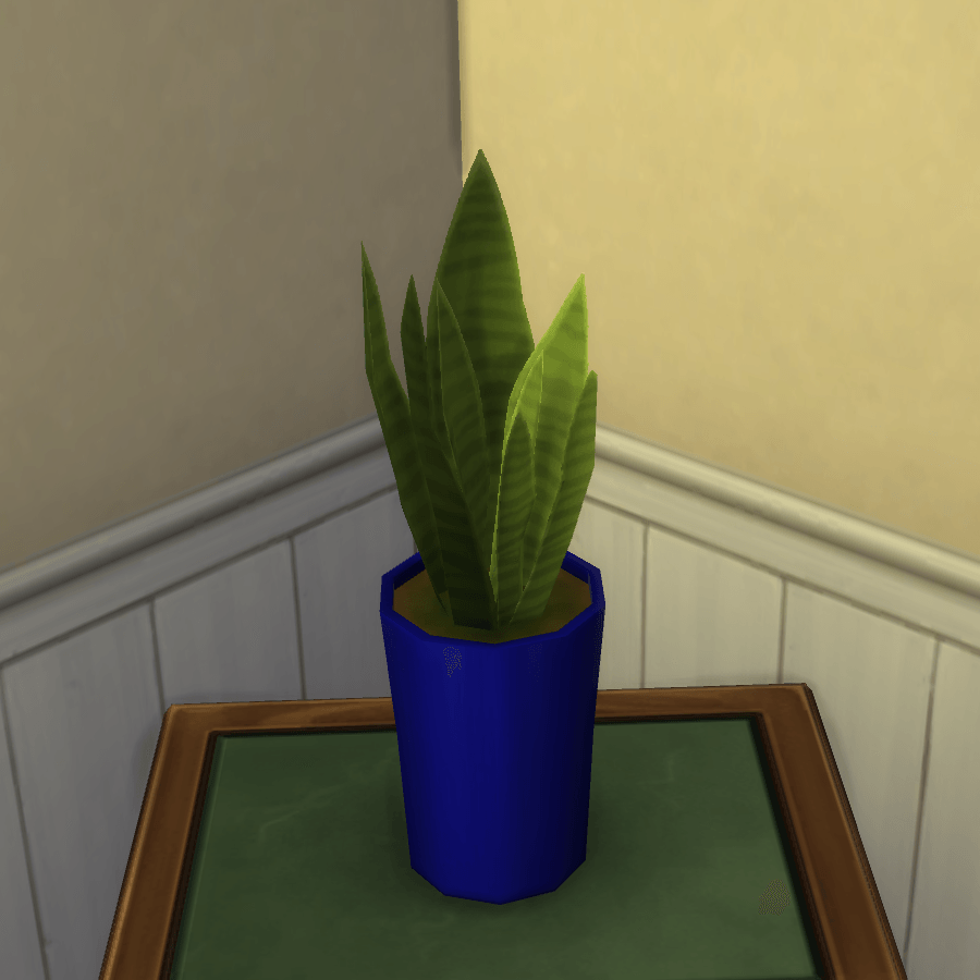 Thumbnail aa snake plant 31.png