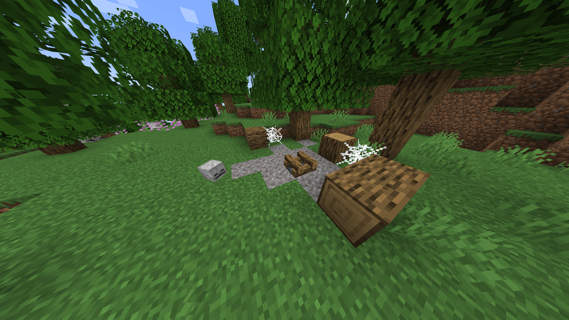 Thumbnail The Abandoned Camp structure, found in most biomes, but most commonly in forests.
