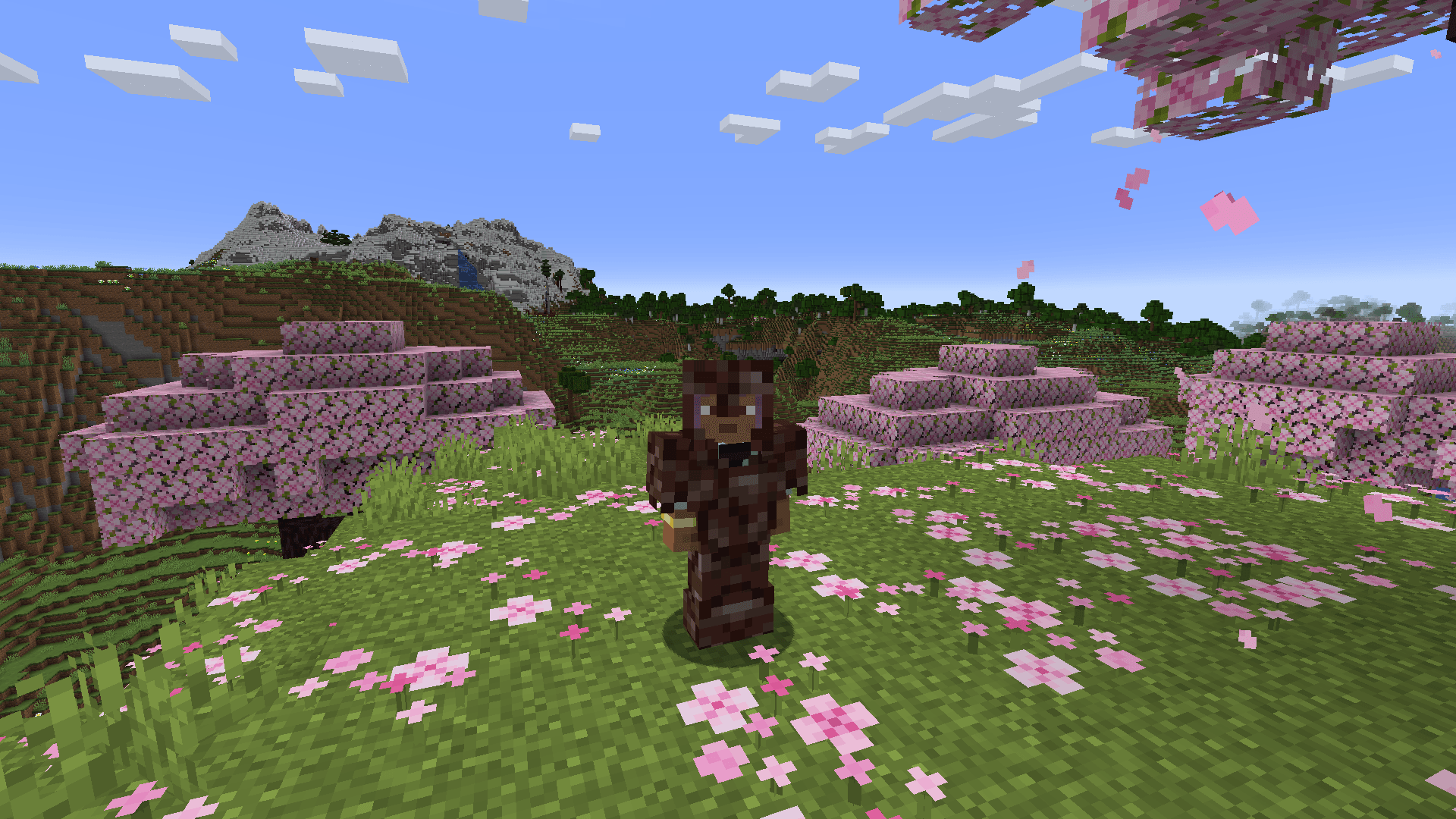 Thumbnail ancient_debris.png
