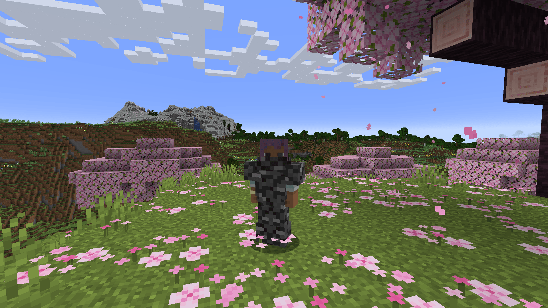 Thumbnail bedrock.png