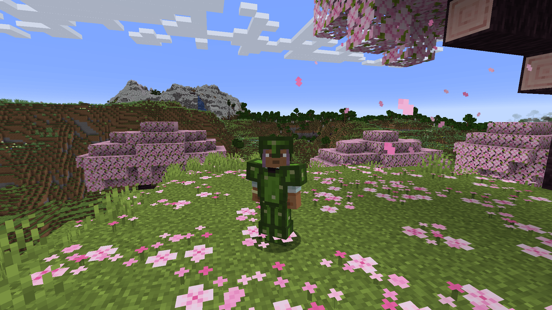 Thumbnail cactus.png