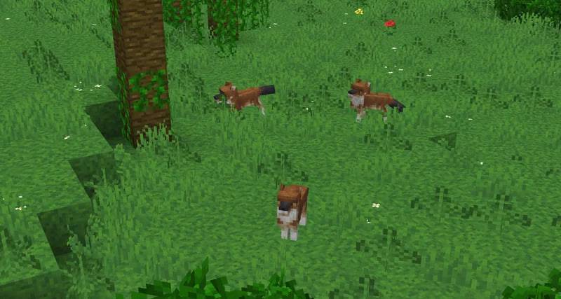 Acidul's Wolves - Gallery - Minecraft Bedrock Texture Packs - CurseForge