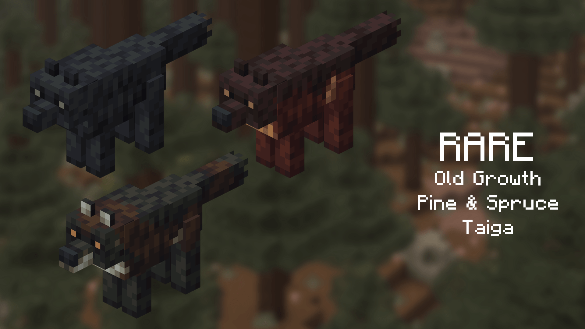 Acidul's Wolves [OPTIFINE/EMF] - Gallery - Minecraft Resource Packs ...