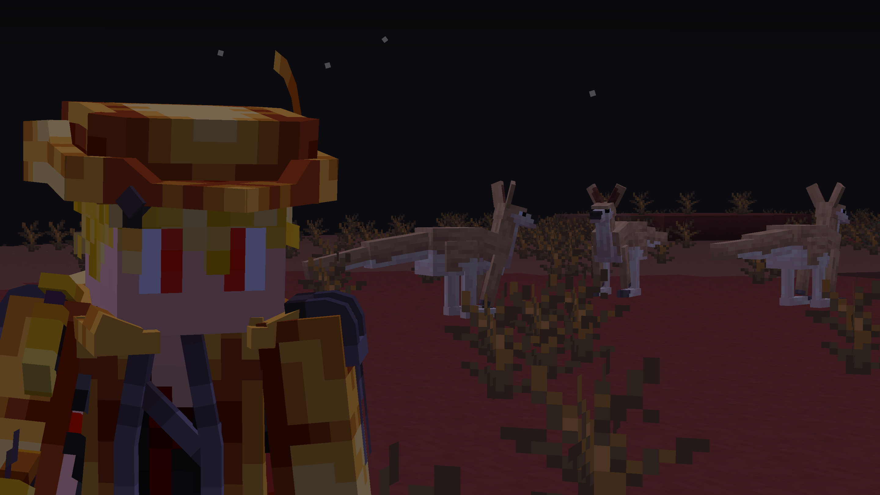 nini promo-8.png